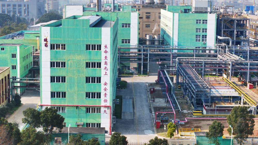 Wide view of the Zhiwei factory and plant layout.