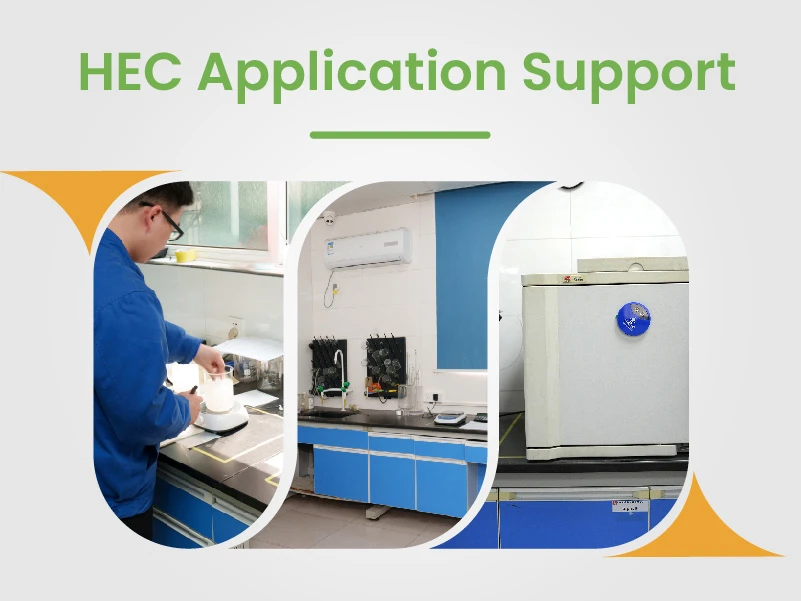 Technical support for hydroxyethyl cellulose in formulation systems