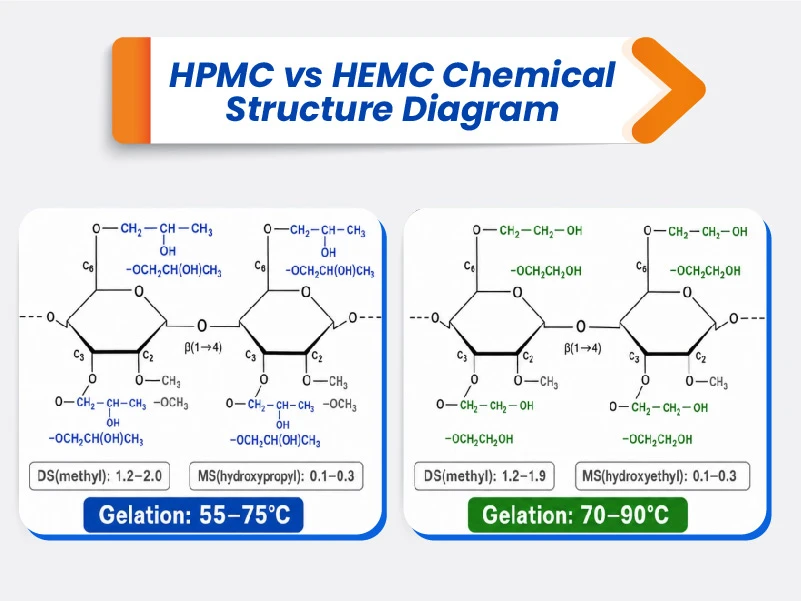 Chemical structure comparison of HPMC hydroxypropyl methylcellulose and HEMC hydroxyethyl methylcellulose cellulose ethers