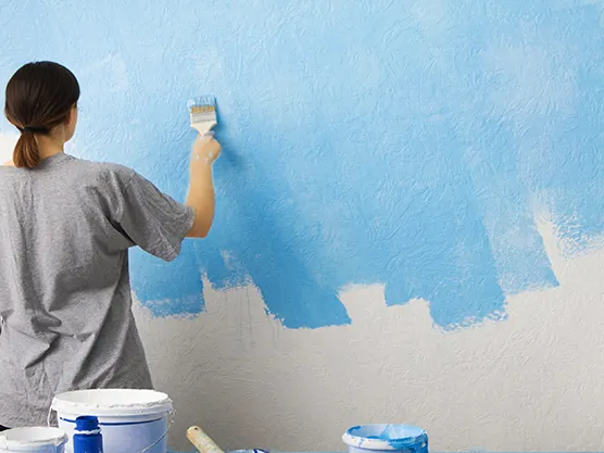 HEC 300 application in wall paint