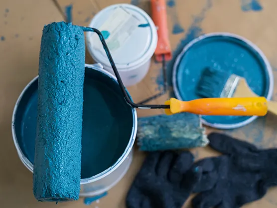 HEC 30K application in paint roller systems