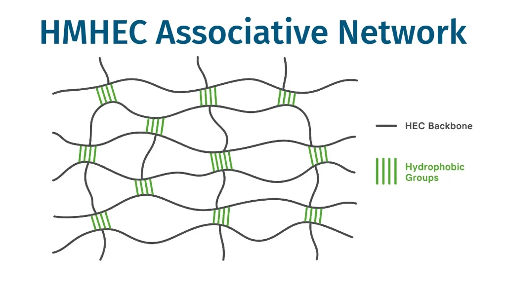HMHEC associative thickening mechanism