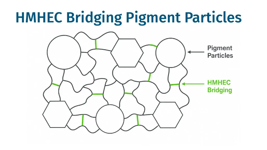 HMHEC adsorption and bridging of pigment particles