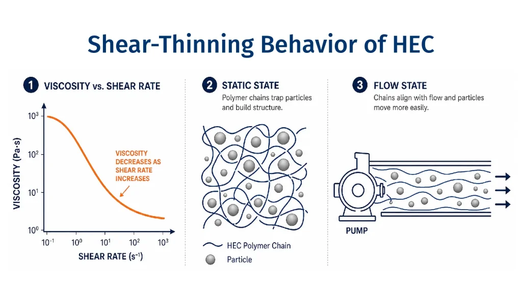 Pseudoplastic shear-thinning behavior of hydroxyethyl cellulose solution