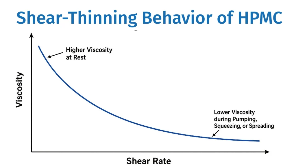 Shear-thinning behavior of HPMC thickener
