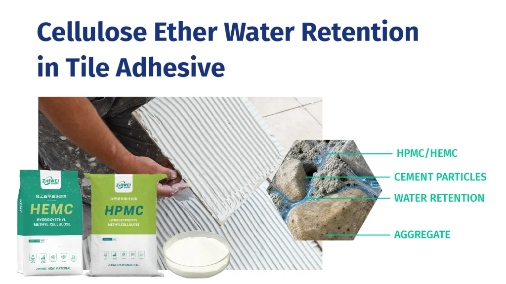 HPMC 和 HEMC 对水泥基瓷砖粘合剂保水性能的促进作用