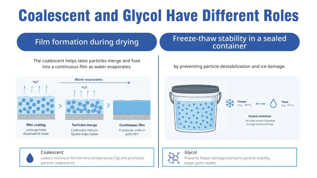 Different roles of coalescent and glycol in latex paint formulation.
